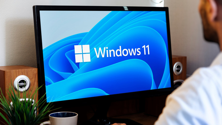 Windows 11